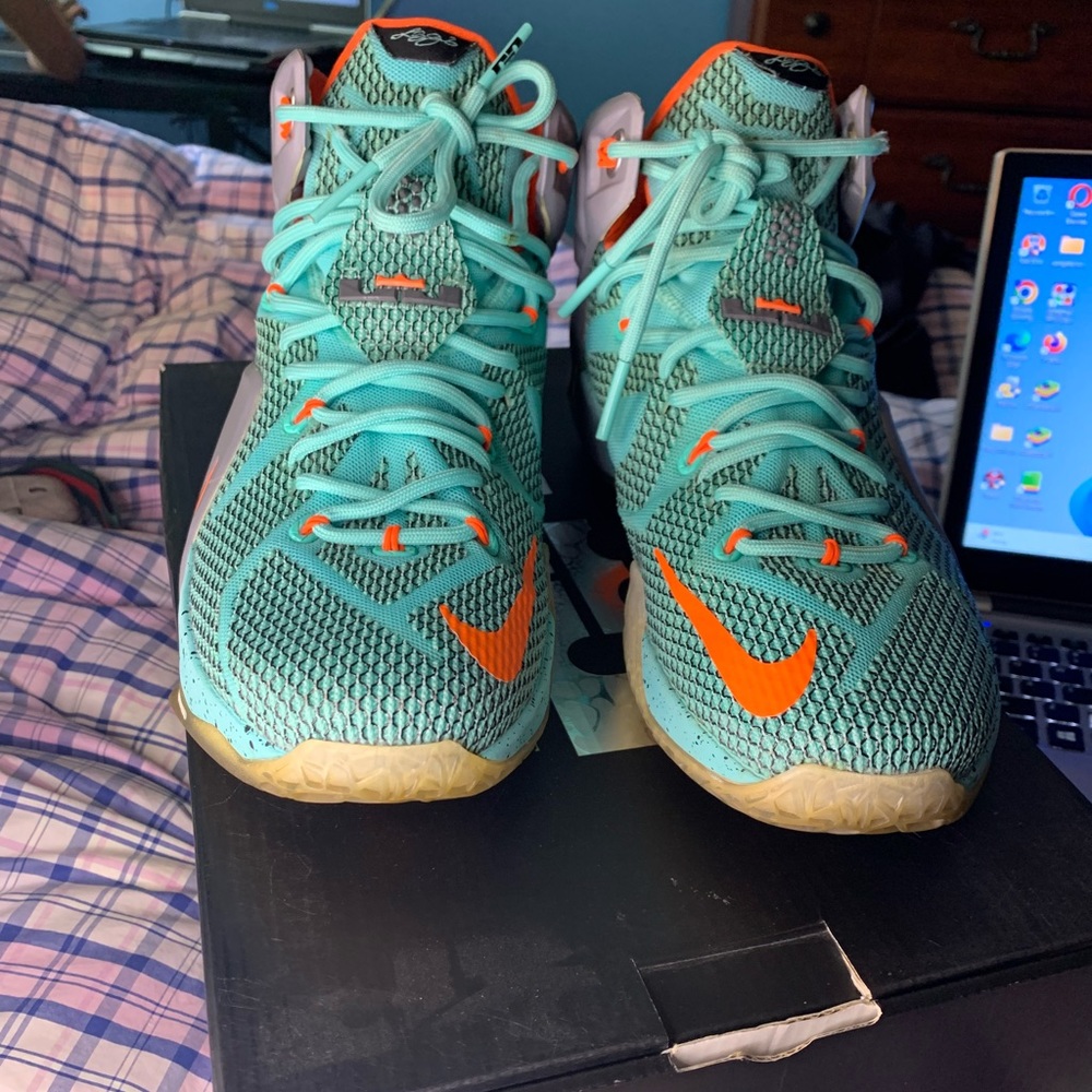 Lebron 12 NSRL 2014